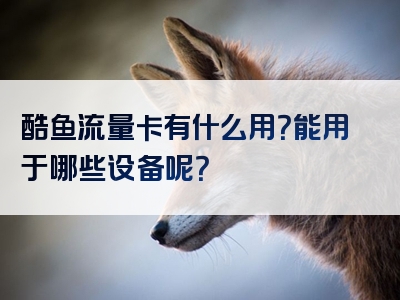 酷鱼流量卡有什么用？能用于哪些设备呢？