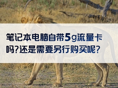 笔记本电脑自带5g流量卡吗？还是需要另行购买呢？