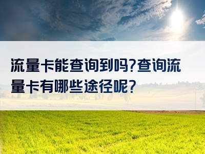 流量卡能查询到吗？查询流量卡有哪些途径呢？