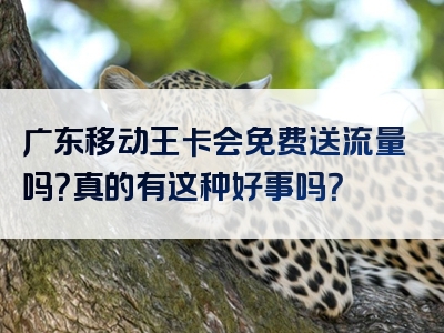 广东移动王卡会免费送流量吗？真的有这种好事吗？