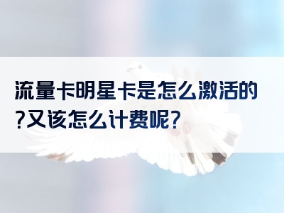 流量卡明星卡是怎么激活的？又该怎么计费呢？