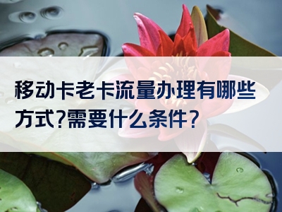 移动卡老卡流量办理有哪些方式？需要什么条件？