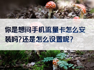 你是想问手机流量卡怎么安装吗？还是怎么设置呢？