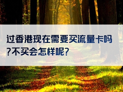 过香港现在需要买流量卡吗？不买会怎样呢？