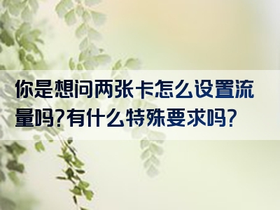 你是想问两张卡怎么设置流量吗？有什么特殊要求吗？