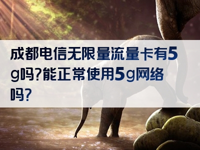 成都电信无限量流量卡有5g吗？能正常使用5g网络吗？