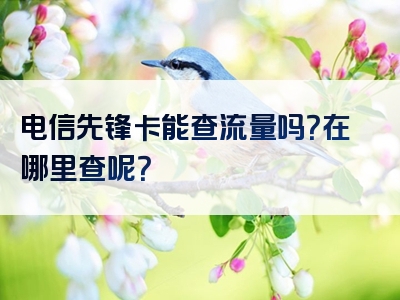 电信先锋卡能查流量吗？在哪里查呢？