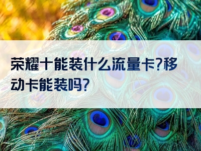 荣耀十能装什么流量卡？移动卡能装吗？