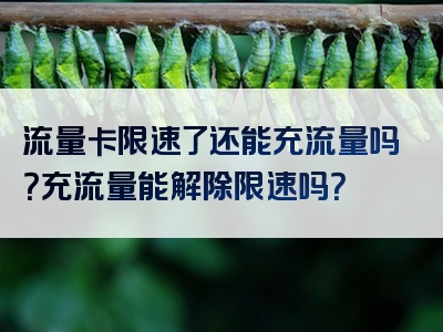 流量卡限速了还能充流量吗？充流量能解除限速吗？