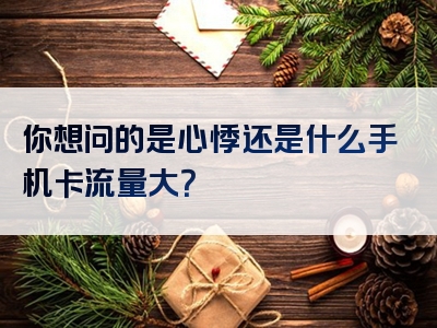 你想问的是心悸还是什么手机卡流量大？