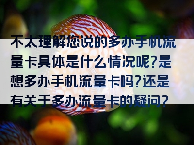 不太理解您说的多办手机流量卡具体是什么情况呢？是想多办手机流量卡吗？还是有关于多办流量卡的疑问？