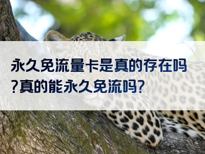 永久免流量卡是真的存在吗？真的能永久免流吗？