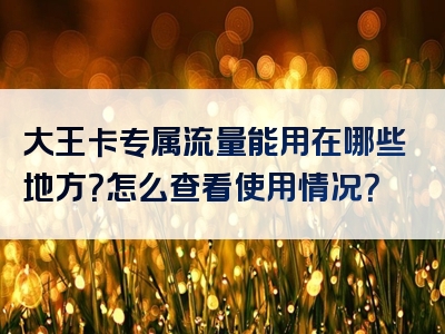 大王卡专属流量能用在哪些地方？怎么查看使用情况？