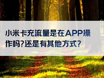 小米卡充流量是在APP操作吗？还是有其他方式？