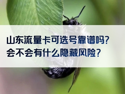 山东流量卡可选号靠谱吗？会不会有什么隐藏风险？