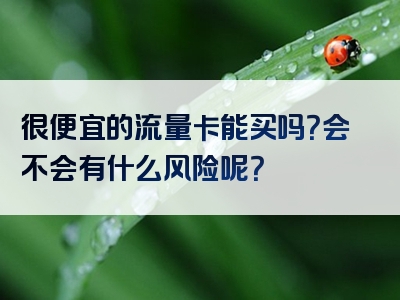 很便宜的流量卡能买吗？会不会有什么风险呢？