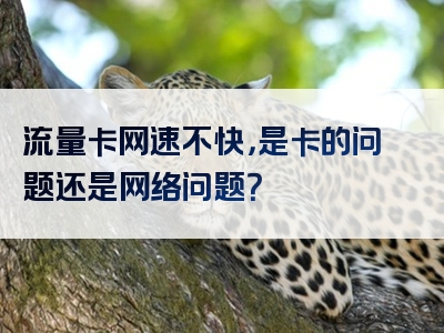 流量卡网速不快，是卡的问题还是网络问题？