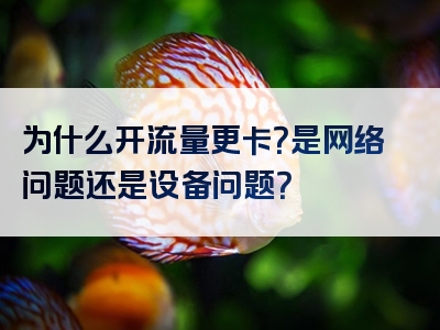 为什么开流量更卡？是网络问题还是设备问题？
