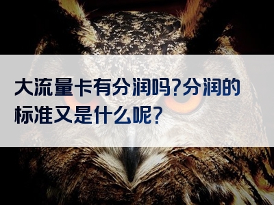 大流量卡有分润吗？分润的标准又是什么呢？