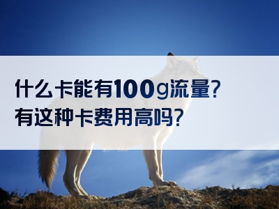 什么卡能有100g流量？有这种卡费用高吗？