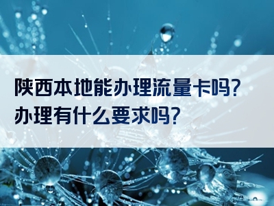 陕西本地能办理流量卡吗？办理有什么要求吗？