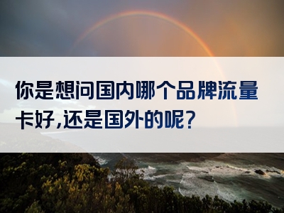 你是想问国内哪个品牌流量卡好，还是国外的呢？