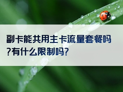 副卡能共用主卡流量套餐吗？有什么限制吗？