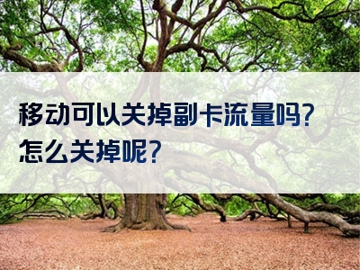 移动可以关掉副卡流量吗？怎么关掉呢？