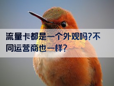 流量卡都是一个外观吗？不同运营商也一样？