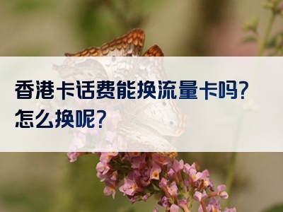 香港卡话费能换流量卡吗？怎么换呢？