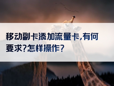 移动副卡添加流量卡，有何要求？怎样操作？