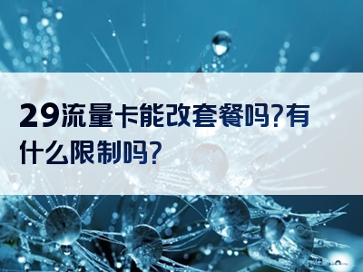 29流量卡能改套餐吗？有什么限制吗？