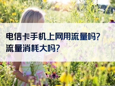 电信卡手机上网用流量吗？流量消耗大吗？