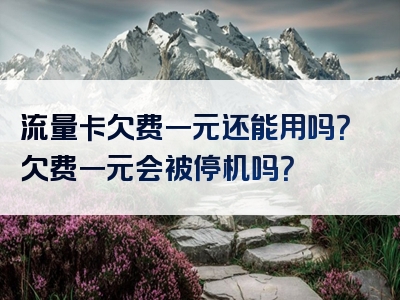 流量卡欠费一元还能用吗？欠费一元会被停机吗？