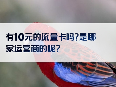 有10元的流量卡吗？是哪家运营商的呢？