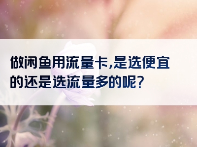 做闲鱼用流量卡，是选便宜的还是选流量多的呢？