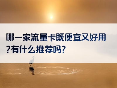 哪一家流量卡既便宜又好用？有什么推荐吗？