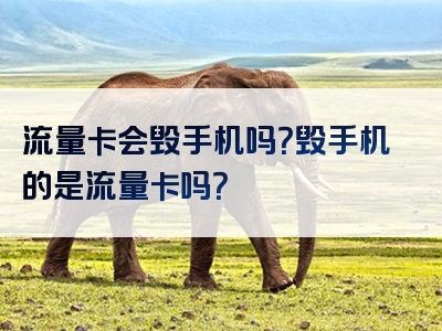 流量卡会毁手机吗？毁手机的是流量卡吗？