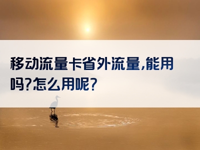 移动流量卡省外流量，能用吗？怎么用呢？
