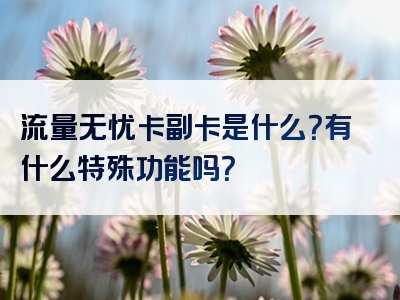 流量无忧卡副卡是什么？有什么特殊功能吗？
