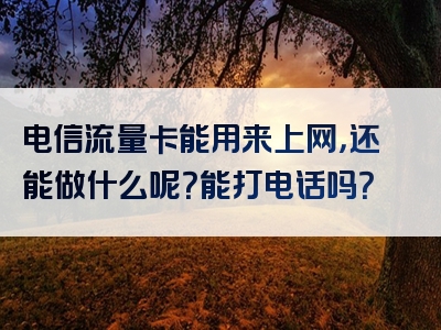 电信流量卡能用来上网，还能做什么呢？能打电话吗？