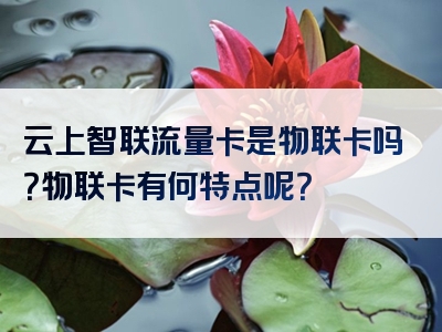 云上智联流量卡是物联卡吗？物联卡有何特点呢？
