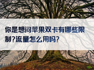 你是想问苹果双卡有哪些限制？流量怎么用吗？