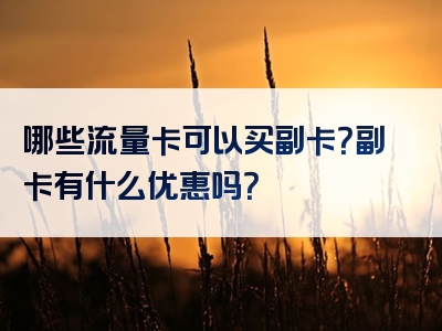 哪些流量卡可以买副卡？副卡有什么优惠吗？