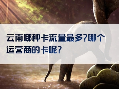 云南哪种卡流量最多？哪个运营商的卡呢？