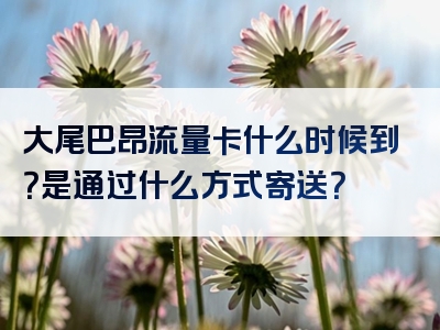 大尾巴昂流量卡什么时候到？是通过什么方式寄送？