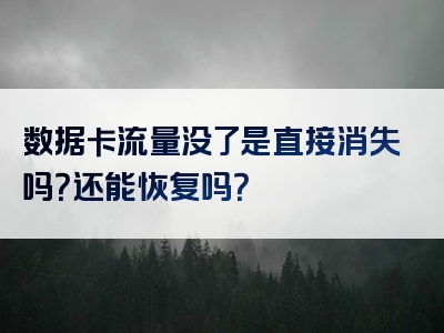 数据卡流量没了是直接消失吗？还能恢复吗？