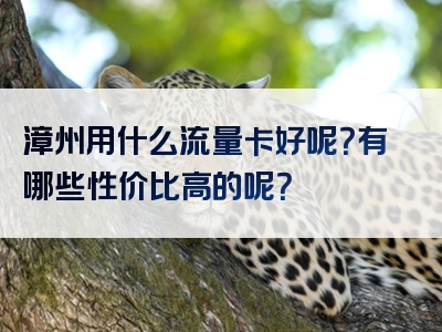 漳州用什么流量卡好呢？有哪些性价比高的呢？
