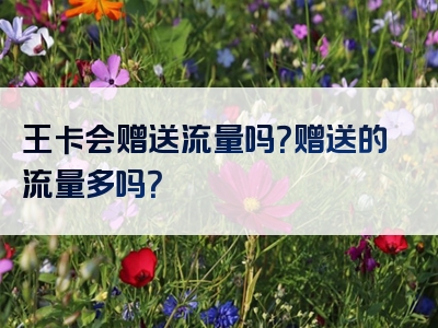 王卡会赠送流量吗？赠送的流量多吗？