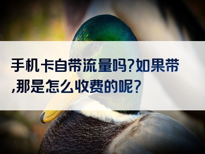 手机卡自带流量吗？如果带，那是怎么收费的呢？